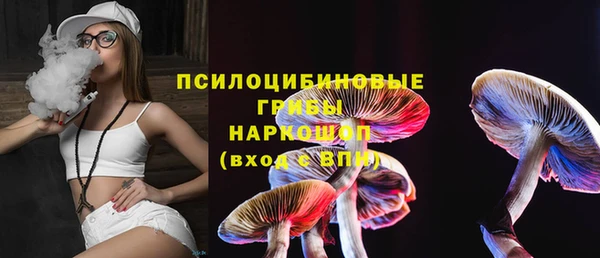 дживик Баксан