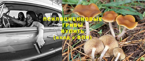 mdpv Балабаново