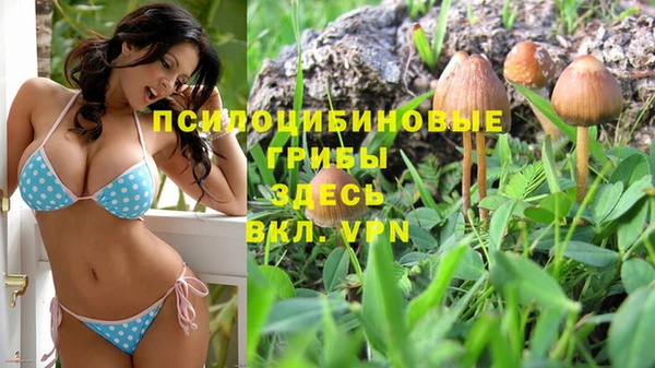 дживик Баксан