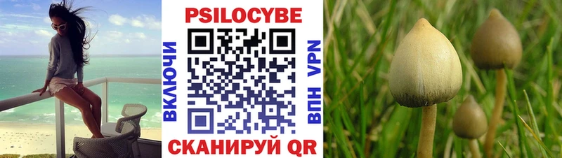 Псилоцибиновые грибы мицелий  Куртамыш 
